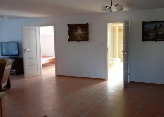 Vega * Болшево